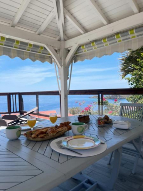 Villa vue panoramique sur La Réserve Cousteau